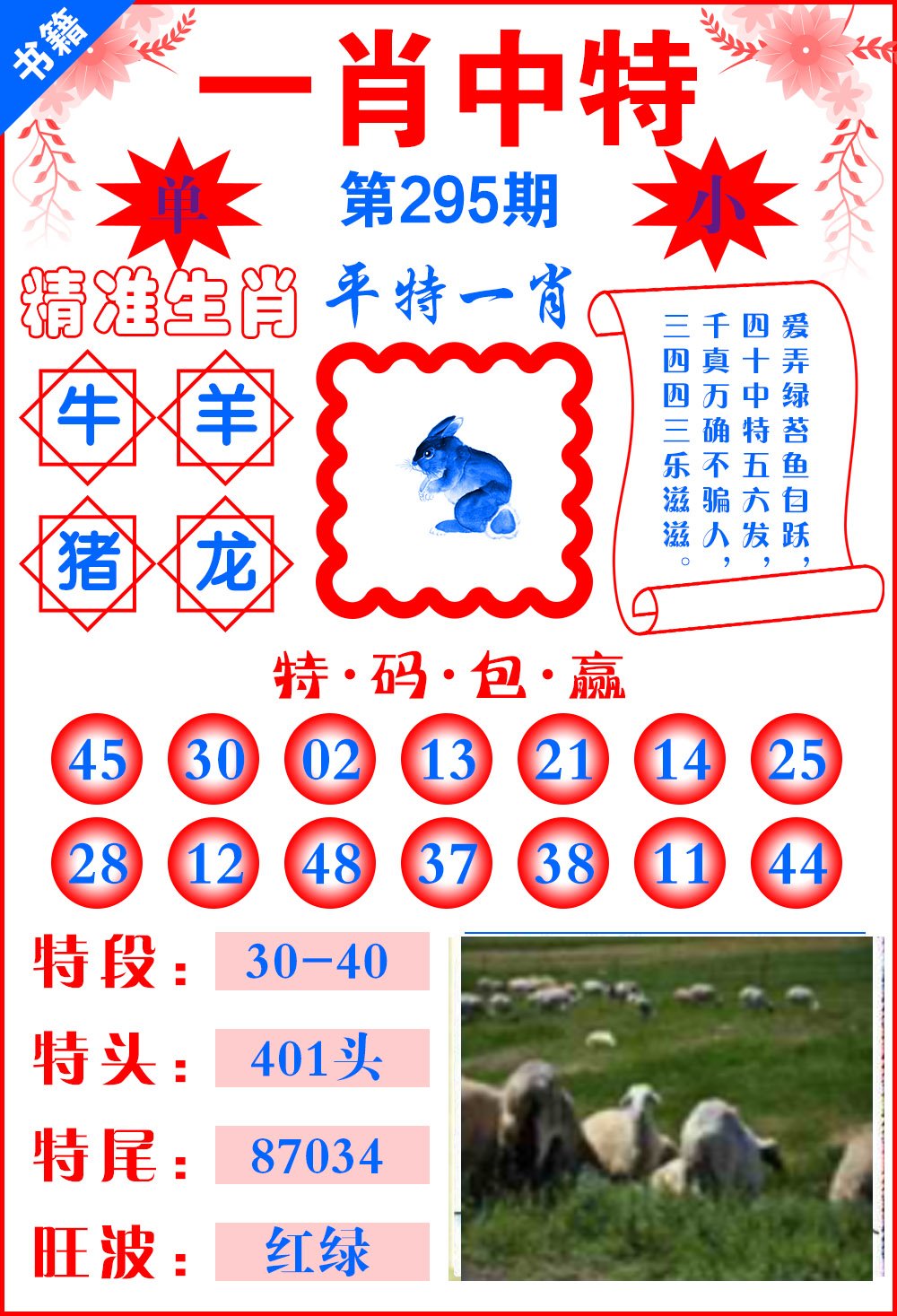 香港最准100%一肖中特特色介绍，详细解答、详细解答解释落实