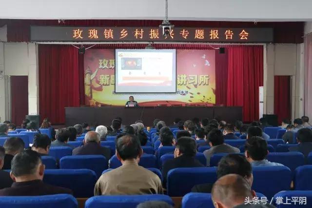 2025新澳精准免详细解答、全面解答解释落实