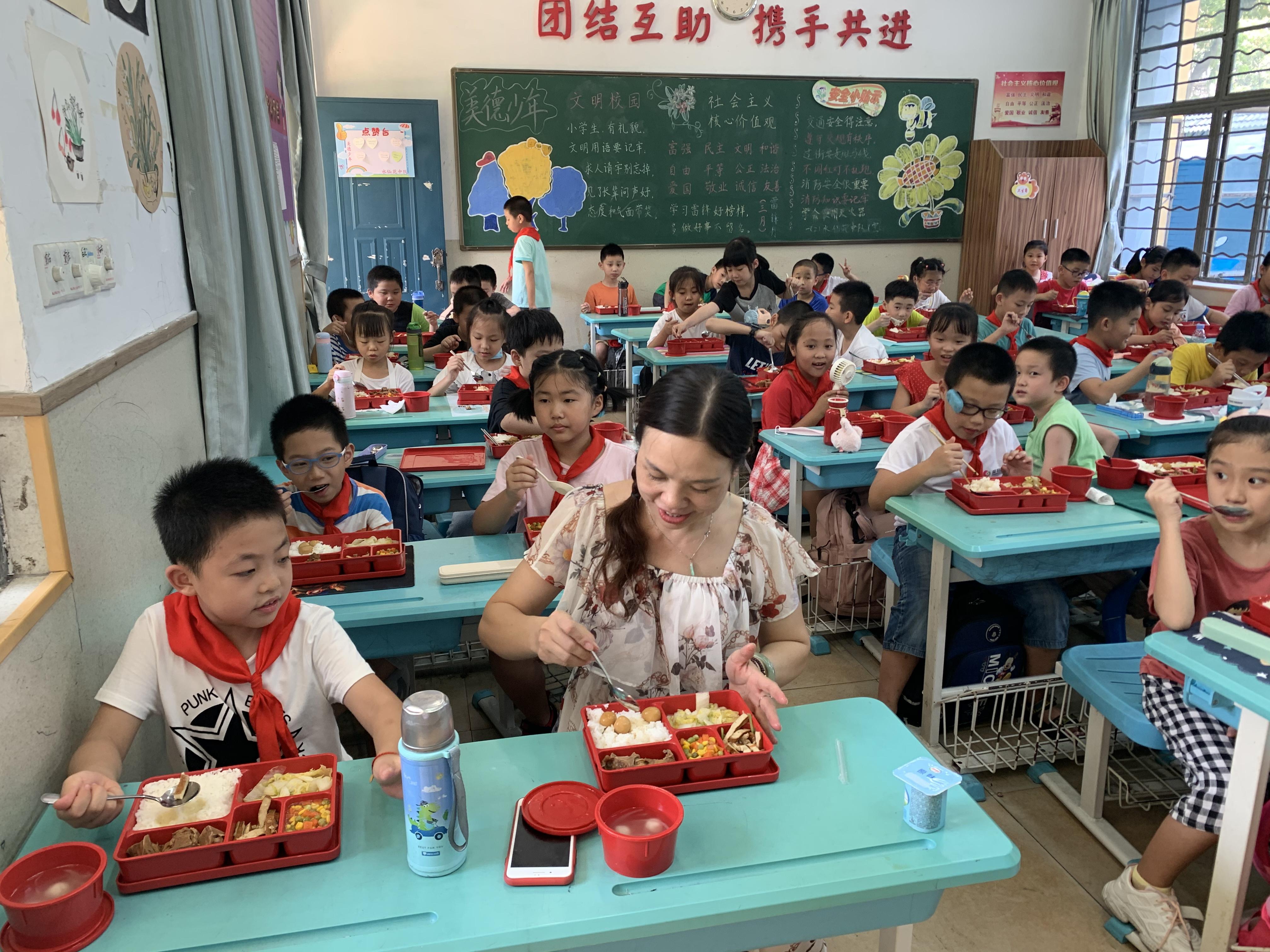 澳门正版免费全年资料大全视频,警惕虚假宣传落实,专家解答解释落实