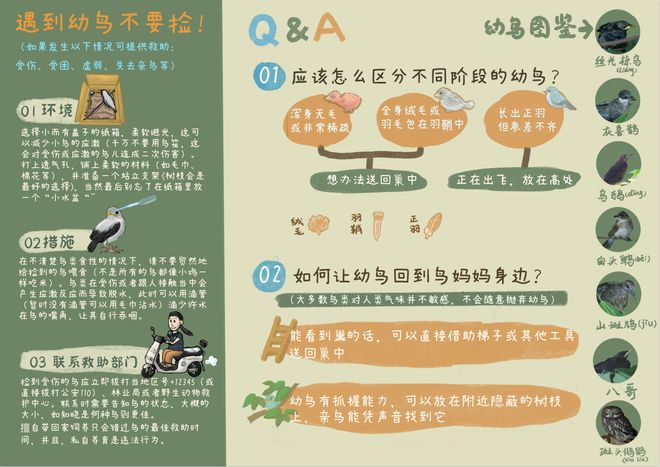 新澳2025最新资料大全新澳最精的警惕虚假宣传-实证解答解释落实