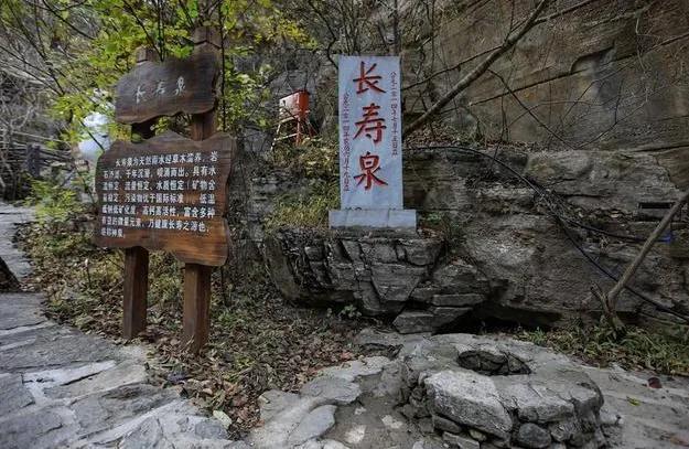 澳门一码中精准一肖,警惕虚假宣传落实,精准解答解释落实