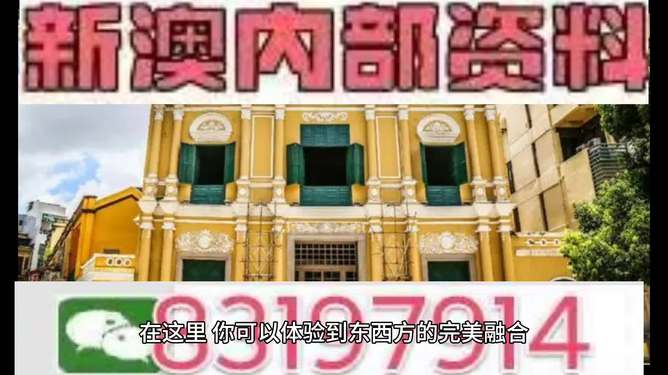 澳门特马，详细解答、实证解答解释落实