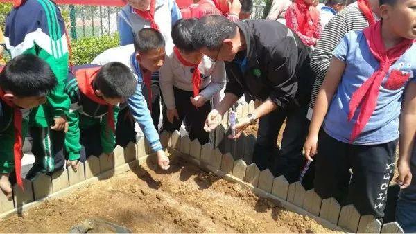 今晚必中一肖一特仔细释义、解释与落实、构建解答解释落实
