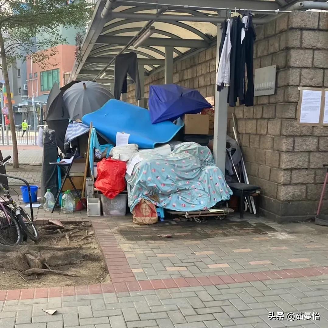 新澳门天天彩资料,警惕虚假宣传落实,构建解答解释落实