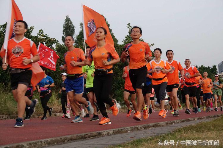 特马 网站详细解答、解释与落实、全面解答解释落实