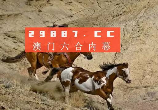 四不像新澳门码请全面2释义、解释与落实、构建解答解释落实