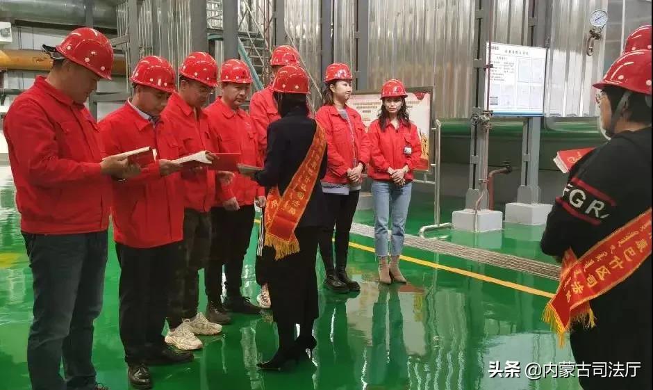 澳门最准一肖一马一中精选解析、解释与落实、深度解答解释落实