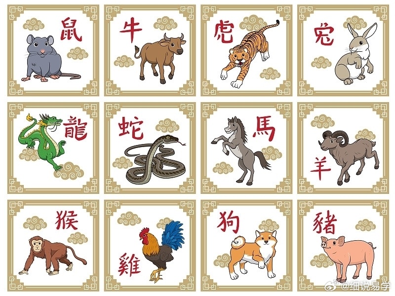 12生肖哪一肖是金花,警惕虚假宣传-全面释义、解释与落实、科学解答解释落实