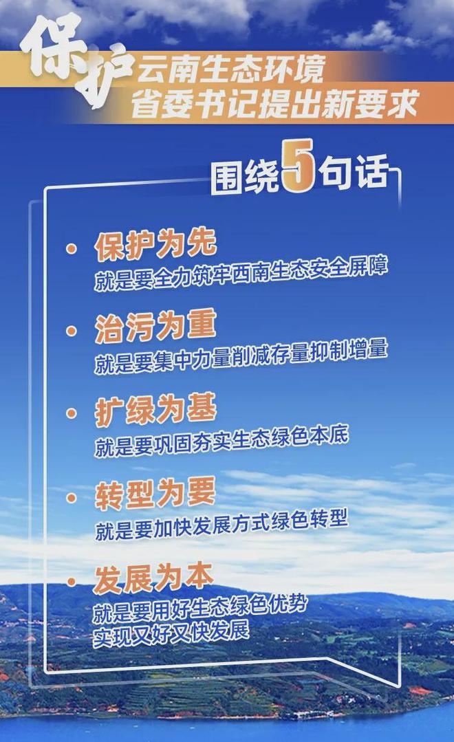 2025年新澳门正版免费大全一句真言警惕虚假宣传、全面解答与解释、实证解答解释落实