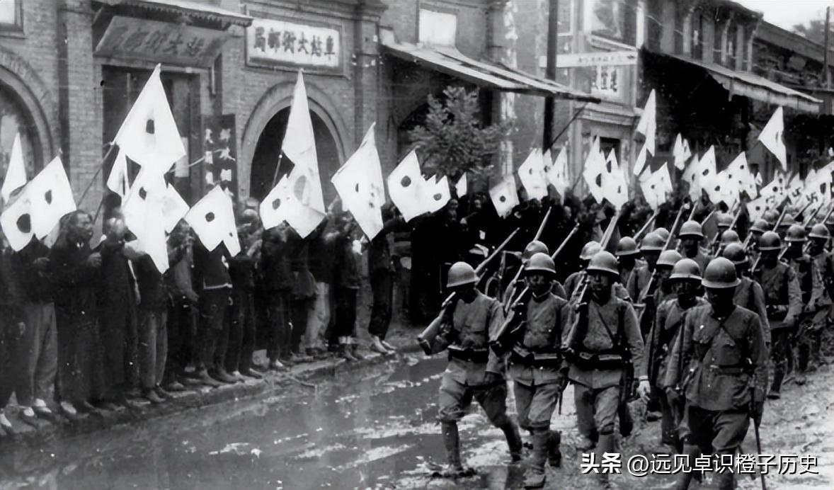 澳门天天免费仔细释义、解释与落实、定量解答解释落实