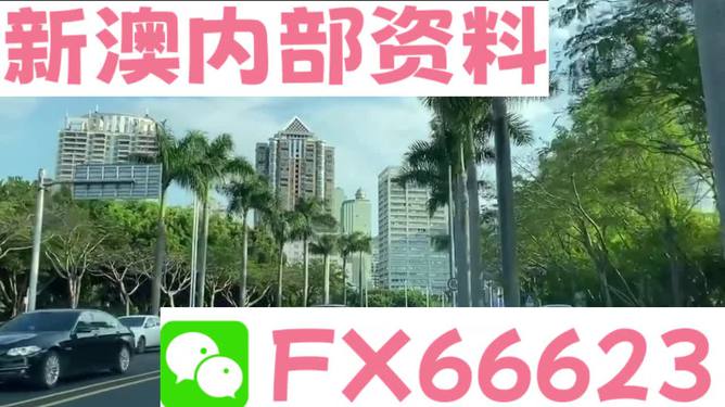 新澳精准精最大全,警惕虚假宣传,全面解答解释落实