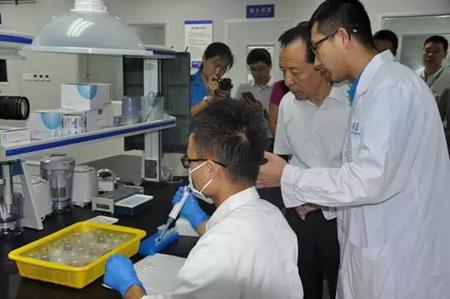 2025新奥门天天开大全精选解析、解释与落实、定量解答解释落实