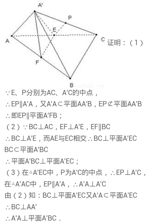 2025新澳天天开奖结果免费查询，详细解答、实证解答解释落实