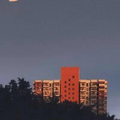 新澳门天天开彩,精选解析、解释与落实、构建解答解释落实