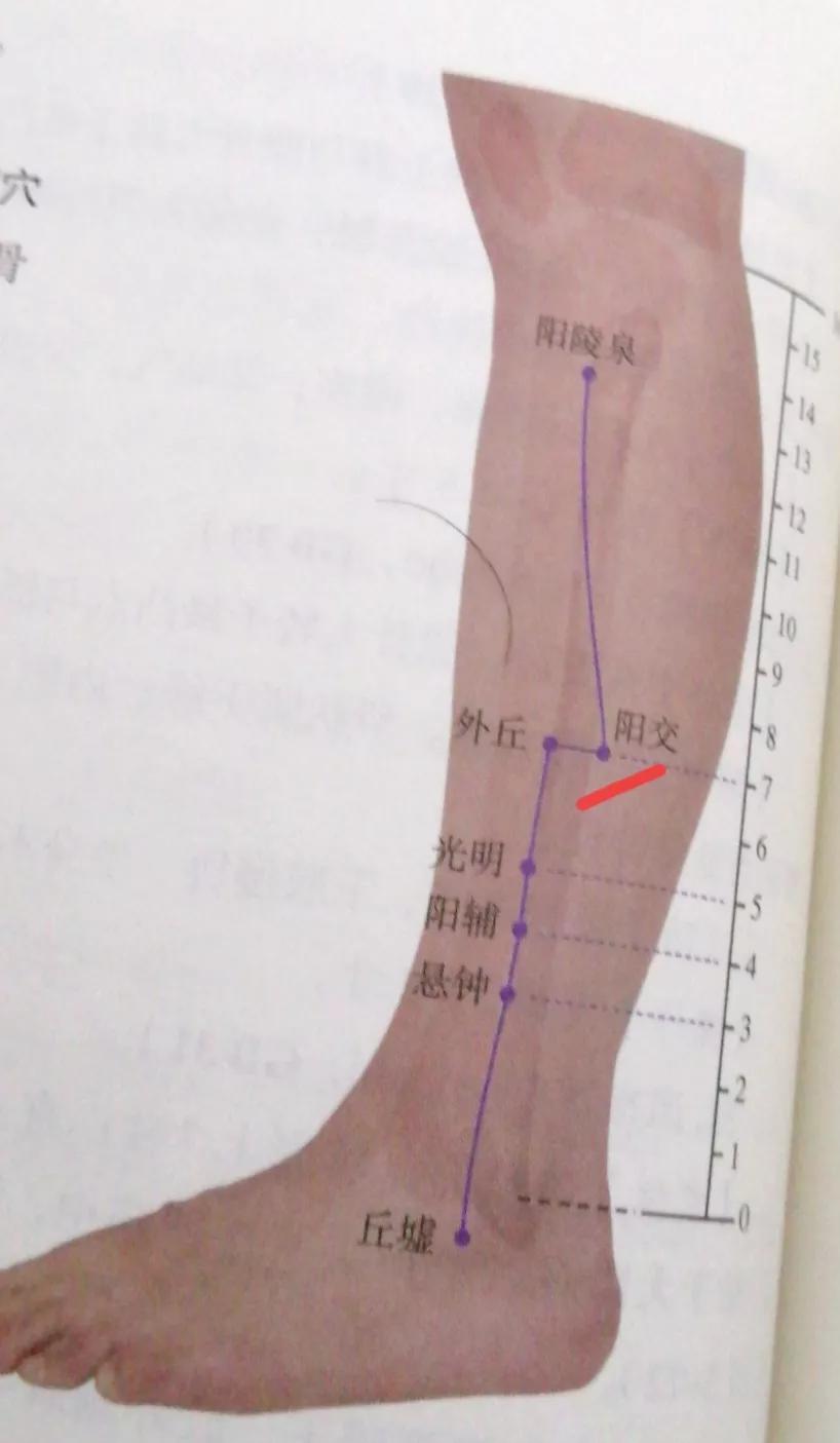 澳门一肖一码100%准确,2025一、警惕虚假宣传-全面释义、深度解答解释落实