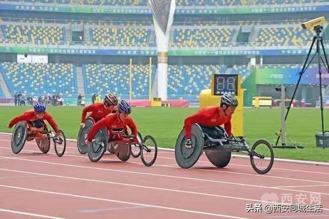 2025年新澳门精准正最精准免的全面释义、解释与落实、综合解答解释落实