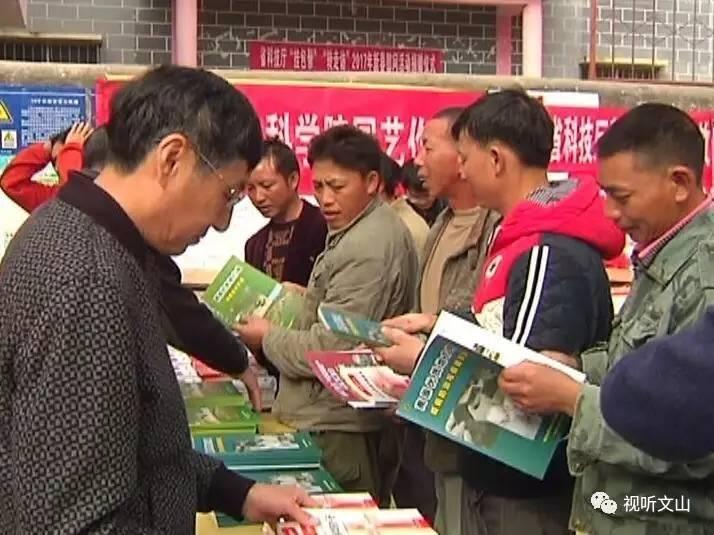 新澳精准正版资料免费请全面释义、解释与落实、详细解答解释落实
