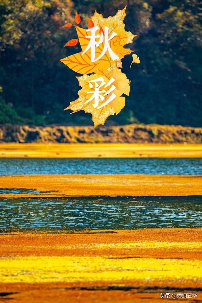 香港天天彩,警惕虚假宣传,实证解答解释落实