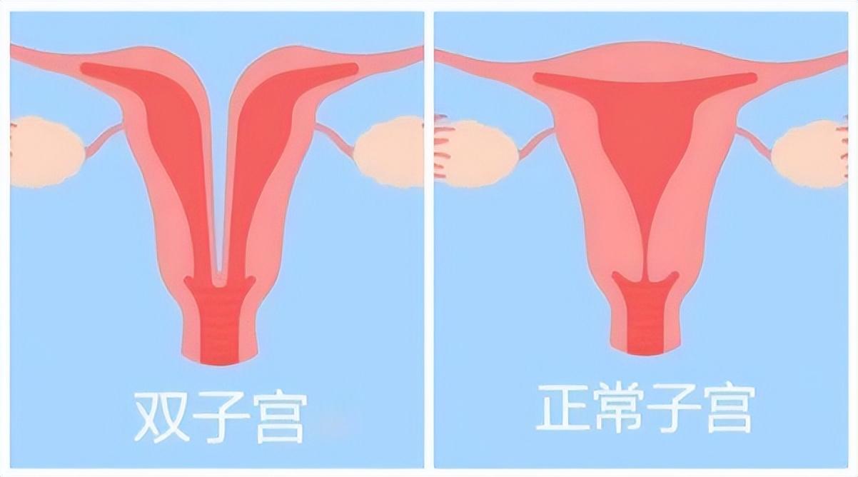 澳门一肖一码一l必开一肖，详细解答、全面解答解释落实