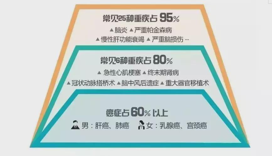 2025年新澳天天开奖结果资料查询、警惕虚假宣传-全面释义、综合解答解释落实