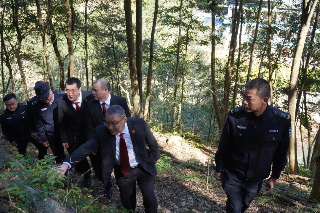 今晚澳门必开一肖一特55期,警惕虚假宣传-全面释义、解释与落实、构建解答解释落实