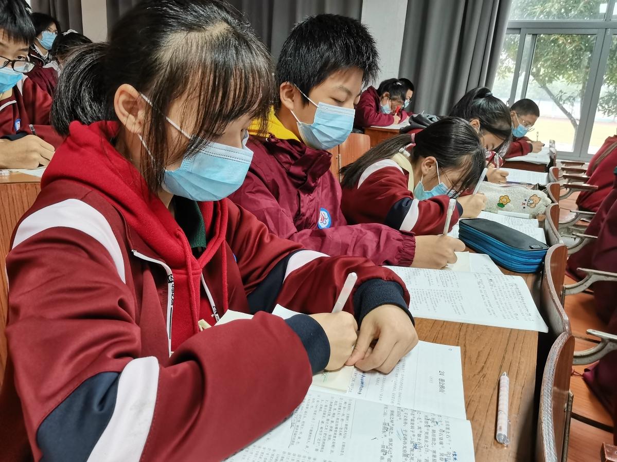2025新澳门精准免费78期,警惕虚假宣传、全面解答、构建解答解释落实