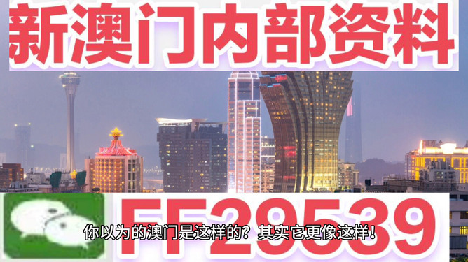 2025新澳门今晚开奖结果查询，详细解答、科学解答解释落实
