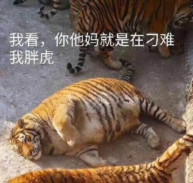 四不像正版资料2025详细解答、实证解答解释落实