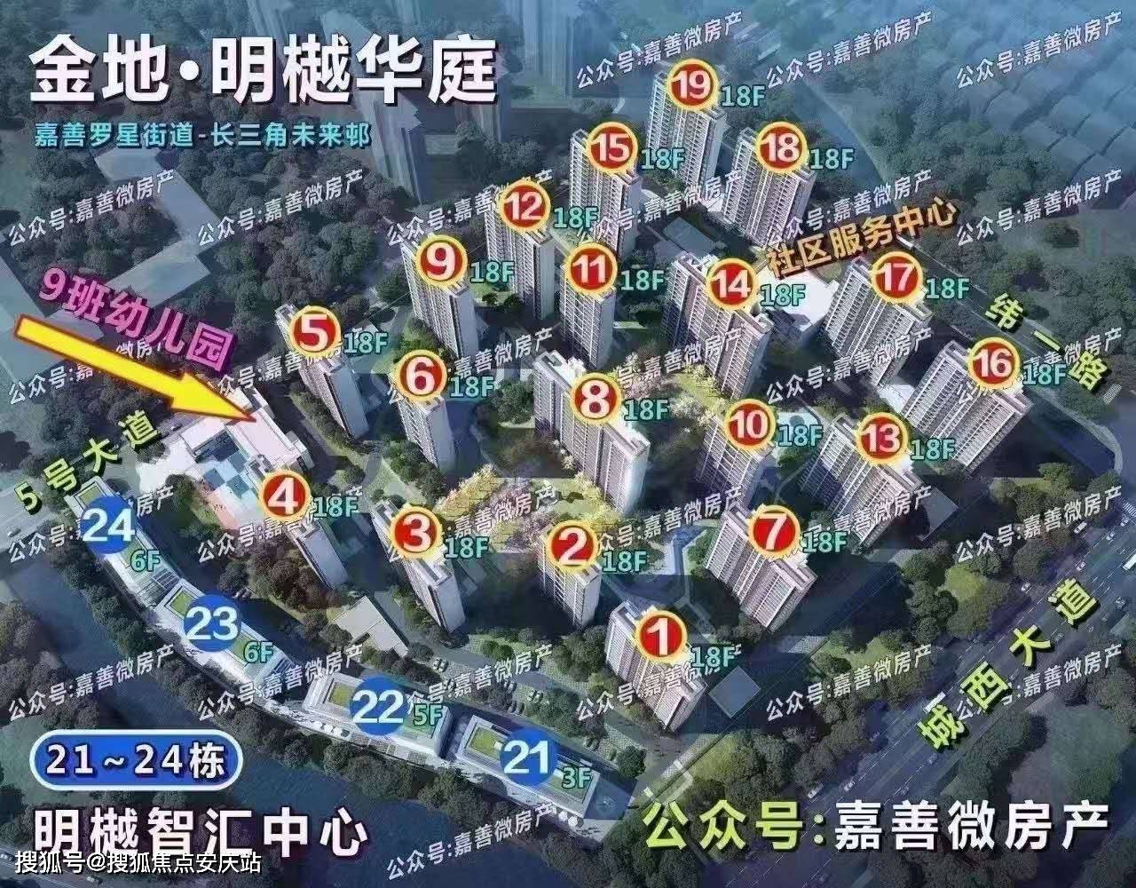 2025新澳门精准免费78期，详细解答、构建解答解释落实