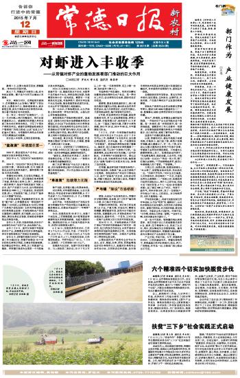 精准免费四肖与7777788888，全面释义、全面解答解释落实
