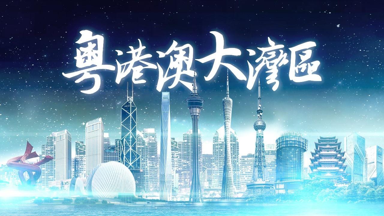 2025今天新澳门精准正版免费警惕虚假宣传、全面解答与解释、实证解答解释落实