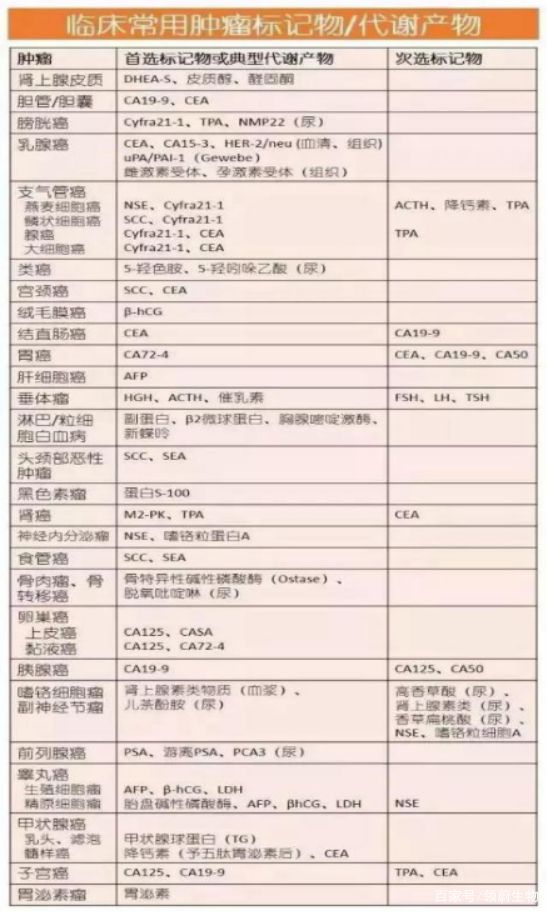 新澳精准正最精准详细解答、前沿解答解释落实