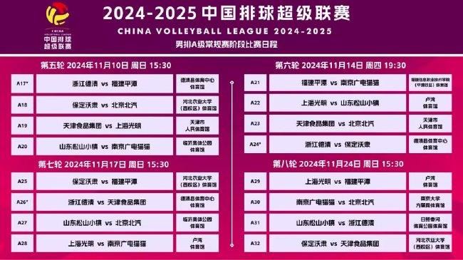 2025新澳门精准正版免费資料或2025年免费资料精选解析、解释与落实、精准解答解释落实