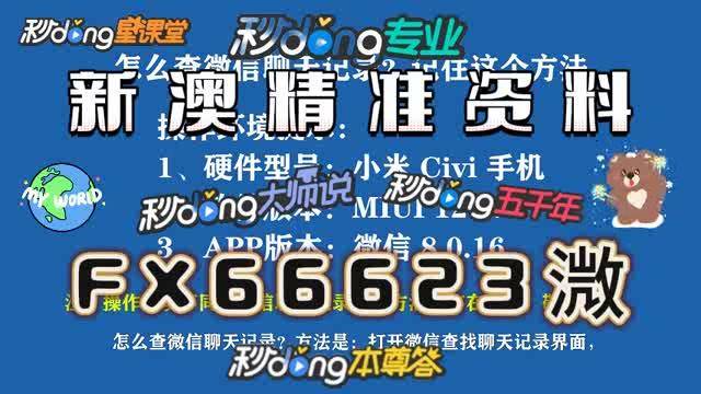 澳门内部正版免费资料使用方法仔细释义、解释与落实、构建解答解释落实