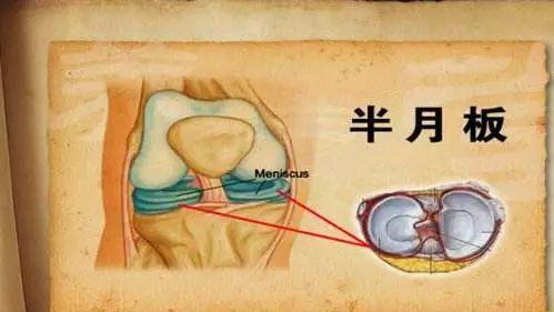 7777788888精准管家婆手机版，详细解答、深度解答解释落实