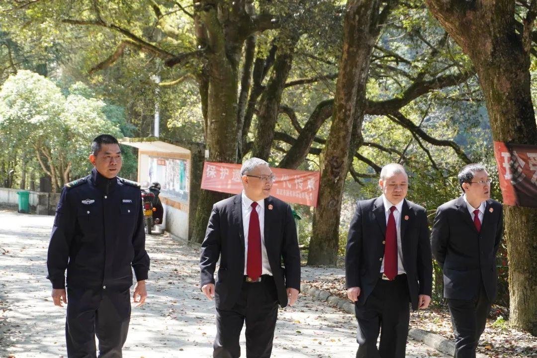 2025全年免费资料大全详细解答、构建解答解释落实