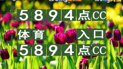 2025年新澳门天天开奖特马详细解答、详细解答解释落实