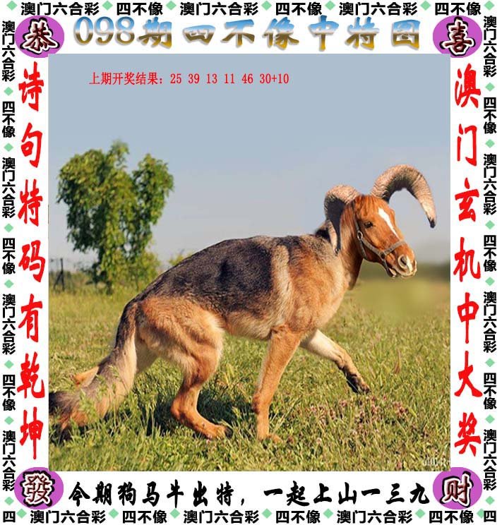 今晚澳门正宗四不像图片请全面2释义、解释与落实、深度解答解释落实