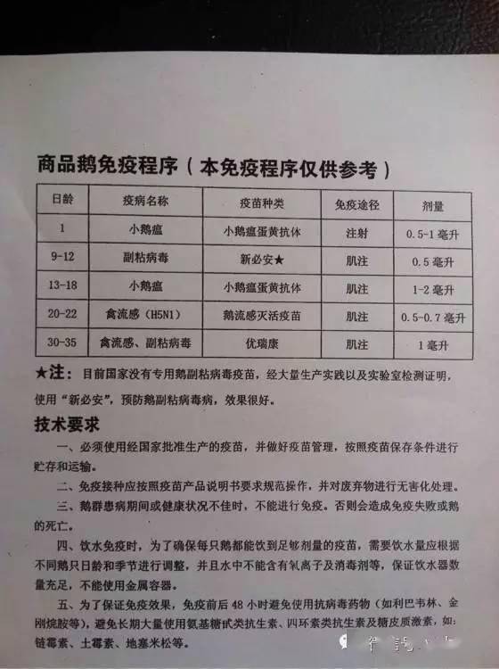 2025年澳门天天开好彩开奖结果查询表格请全面2释义、解释与落实、构建解答解释落实