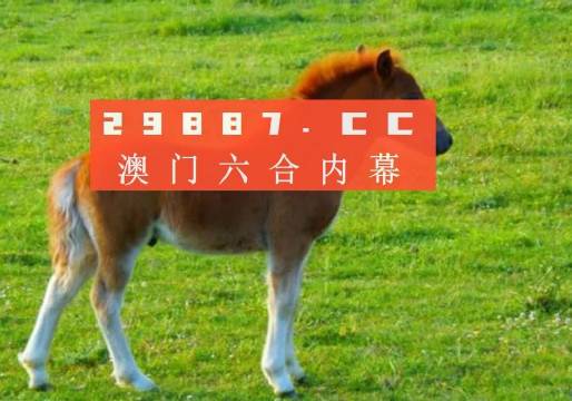 新澳门一肖一马一恃一中，全面释义、构建解答解释落实