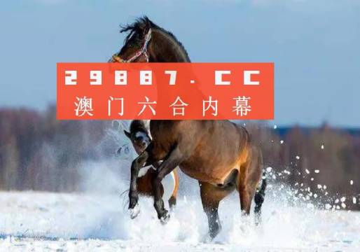 澳门正版天天精准免费大全警惕虚假宣传、全面解答与解释、实时解答解释落实