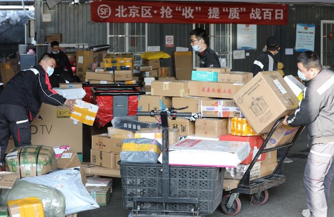 全年资料大全，全面释义、精准解答解释落实