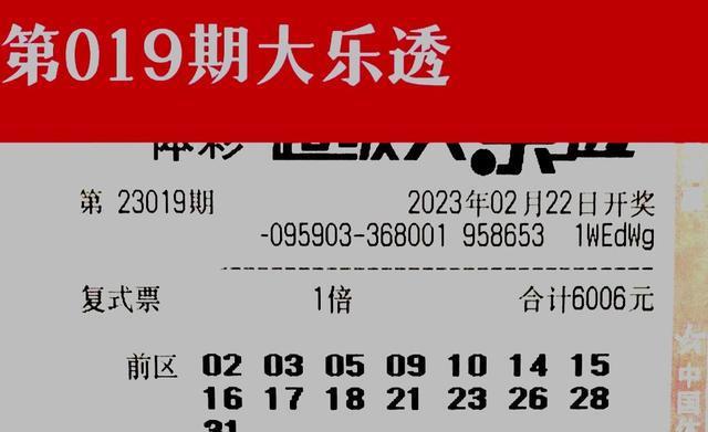 新澳门天天彩免费的全面释义、解释与落实、实证解答解释落实
