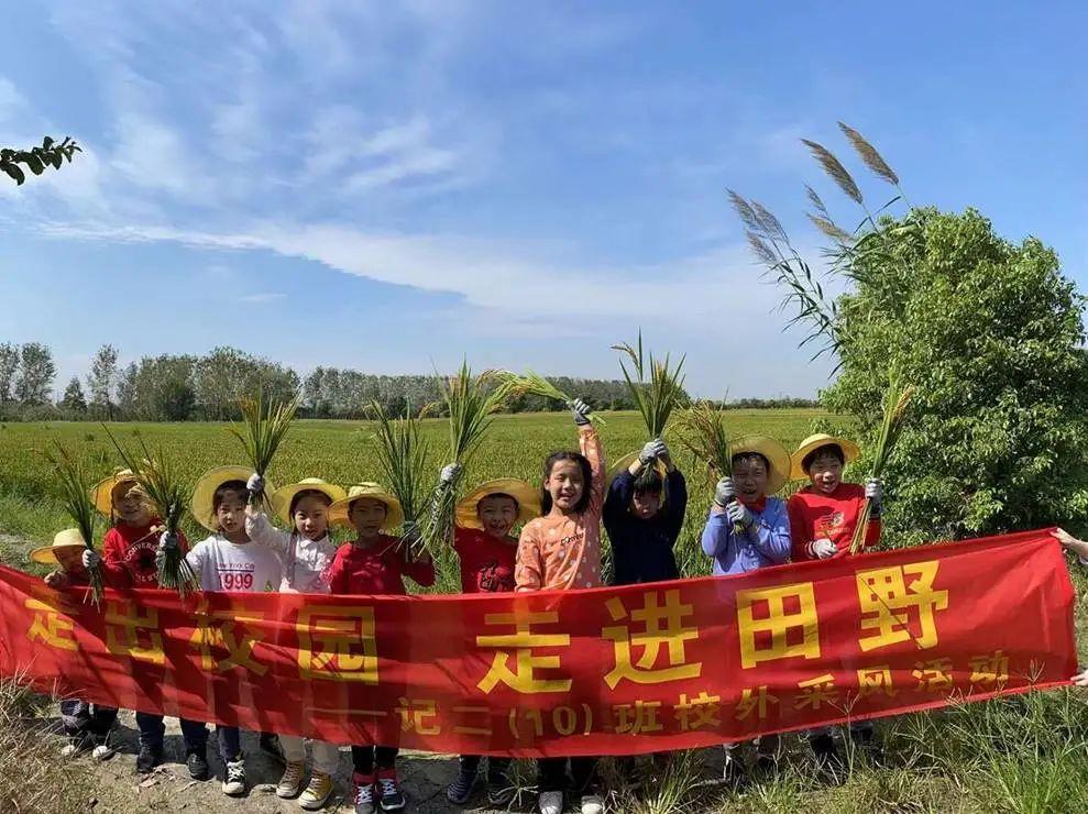 新澳门与香港资料公开全面释义、构建解答解释落实