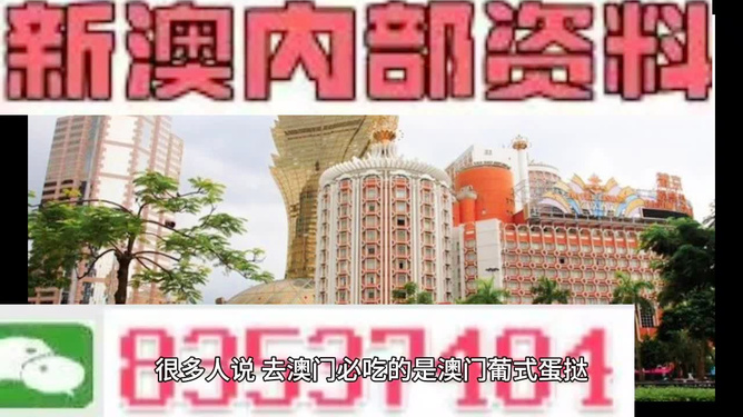 新澳门免费精准大全,新澳门全面释义、统计解答解释落实