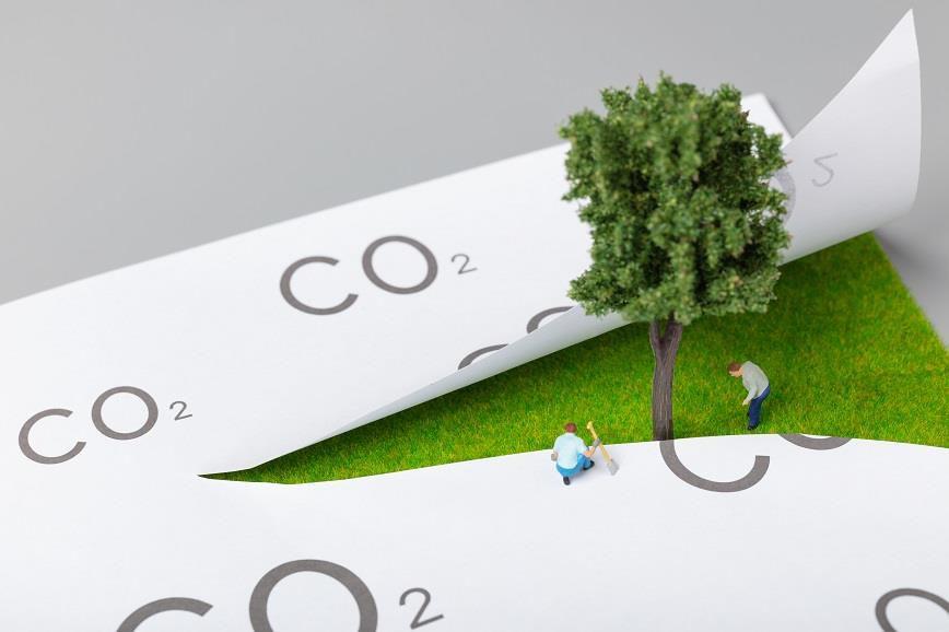 奥门2025年四不像天天彩免费资料详细解答、解释与落实、定量解答解释落实