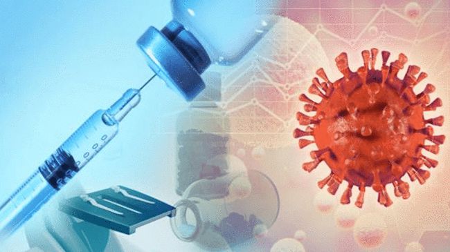 2025新澳门和香港免费请全面2释义、解释与落实、科学解答解释落实