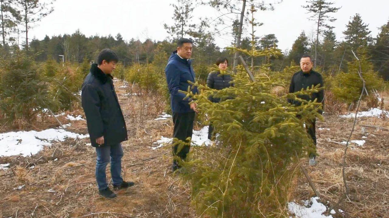 澳门2025年精准资料免费大全的警惕虚假宣传-全面释义、解释与落实、构建解答解释落实