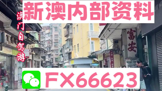2025年新澳精准免费大全,警惕虚假宣传落实,构建解答解释落实