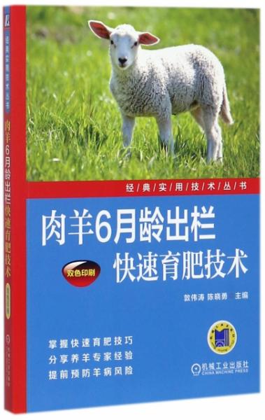 2025新澳精准正版四不象,警惕虚假宣传、全面解答、专家解答解释落实